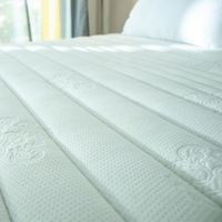 Synda mattress: Back Extra 6 feet.-1