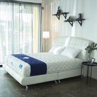 Synda Mattress - Back Repose 6 ft.